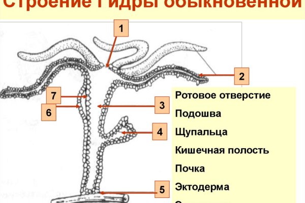 Что такое кракен 2024 маркетплейс