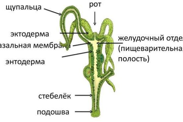 Кракен войти