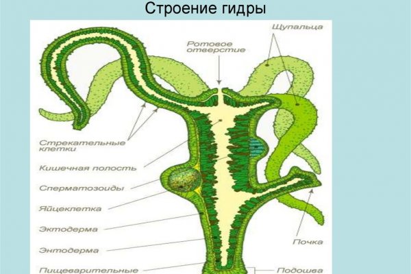 Даркнет кракен