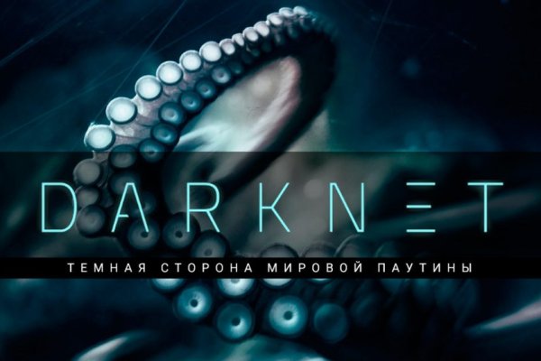 Найдется все kraken 2krn cc