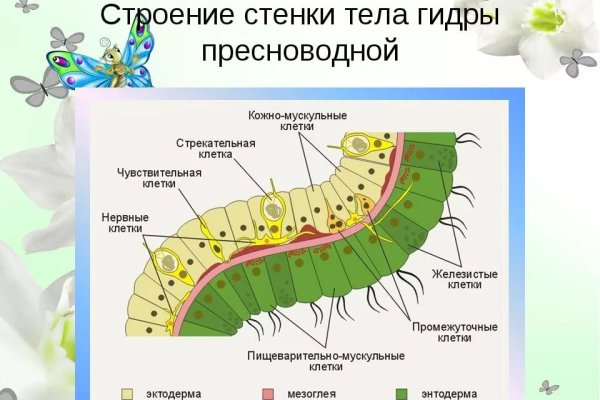 Kraken onion ссылка