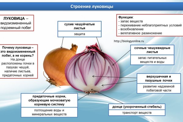 Ссылка на кракен официальный сайт